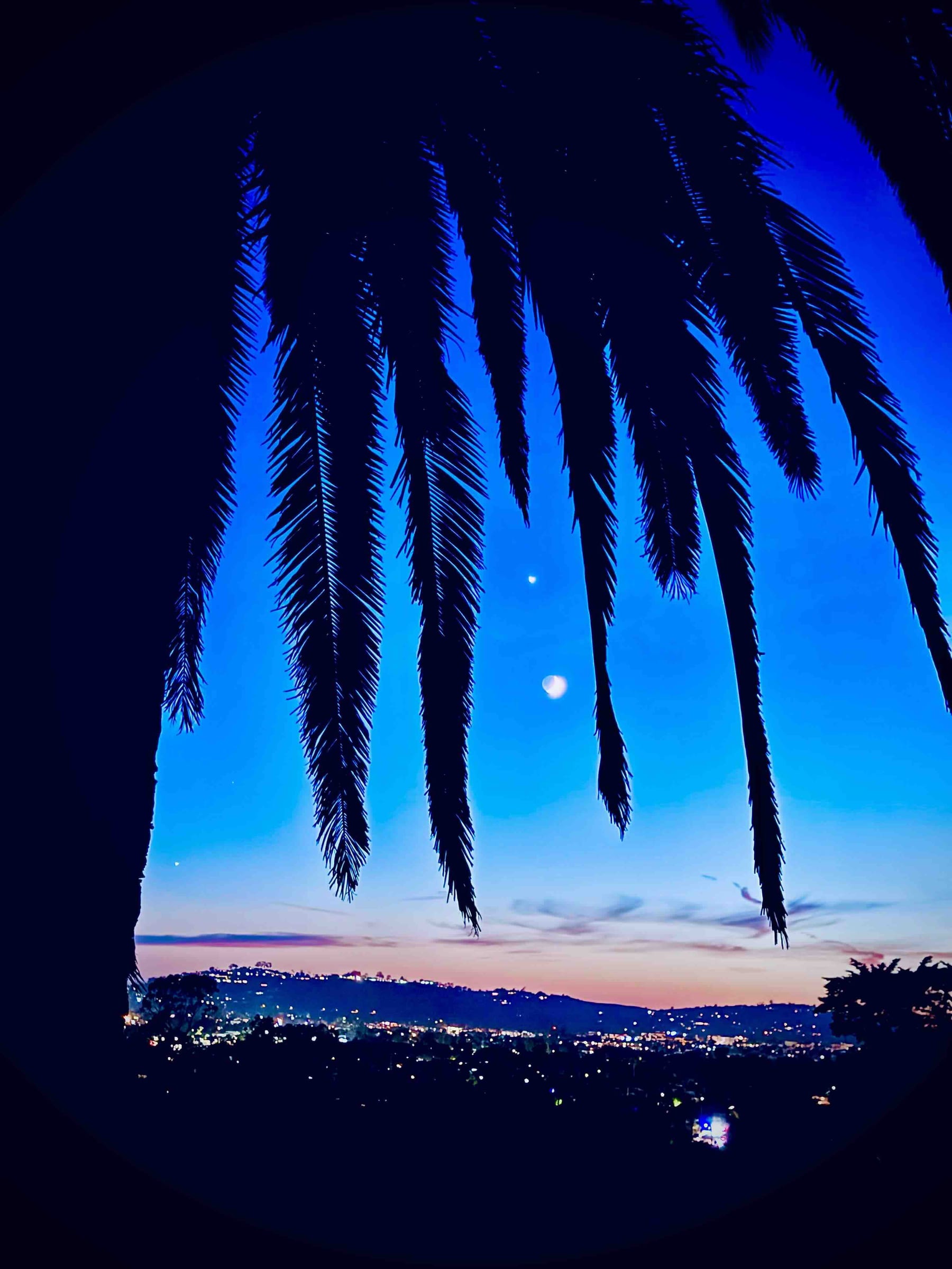 Venus Rising Palm View Montecito