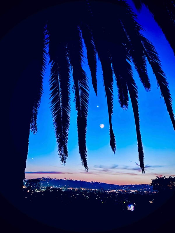 Venus Rising Palm View Montecito